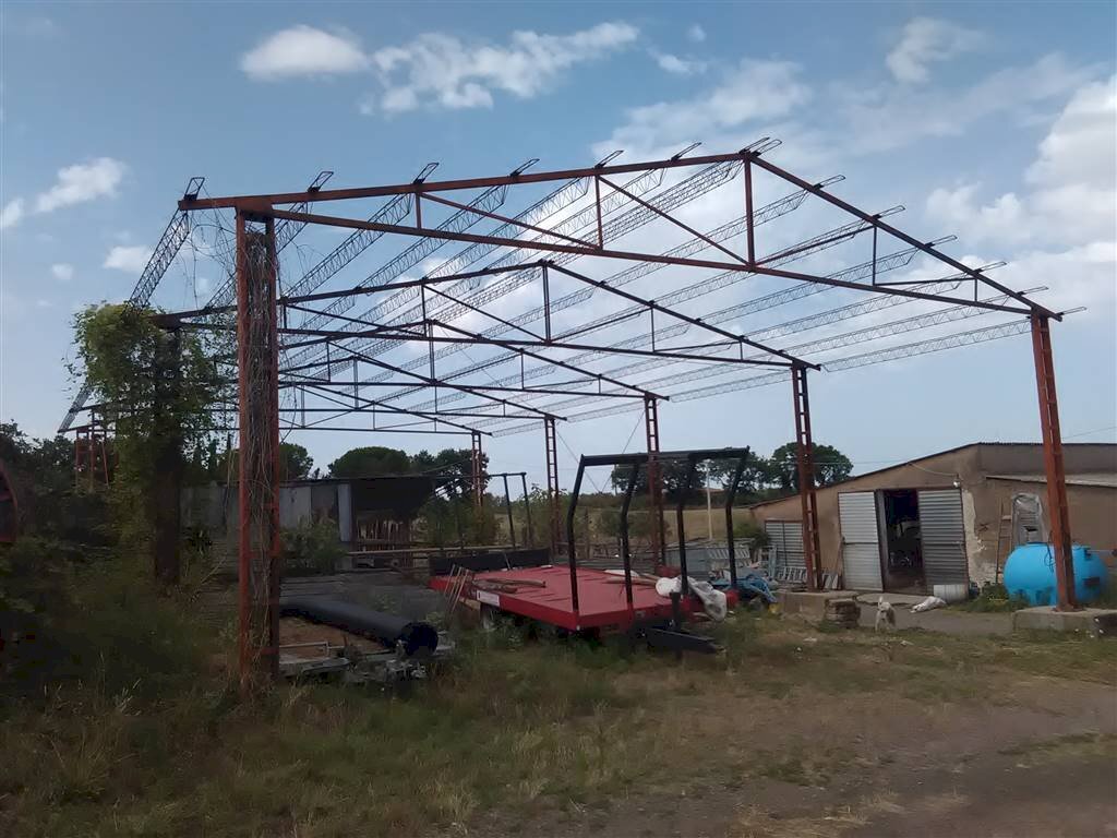 Farm -, Vetralla - photo 2