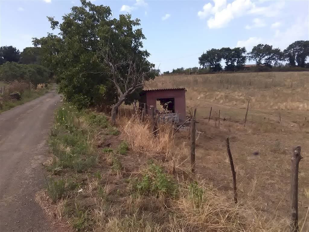 Farm -, Vetralla - photo 3