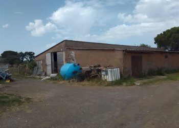 Farm -, Vetralla - photo 1