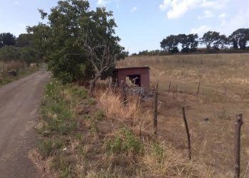 Farm -, Vetralla - photo 3