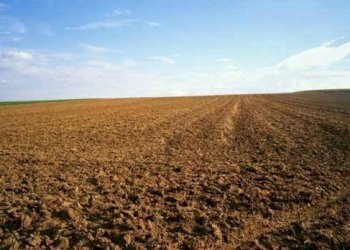 Terreno agricolo -, Vetralla - foto 1