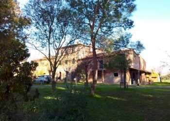 Agriturismo -, Grosseto - foto 8