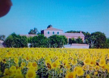 Agriturismo -, Grosseto - foto 10