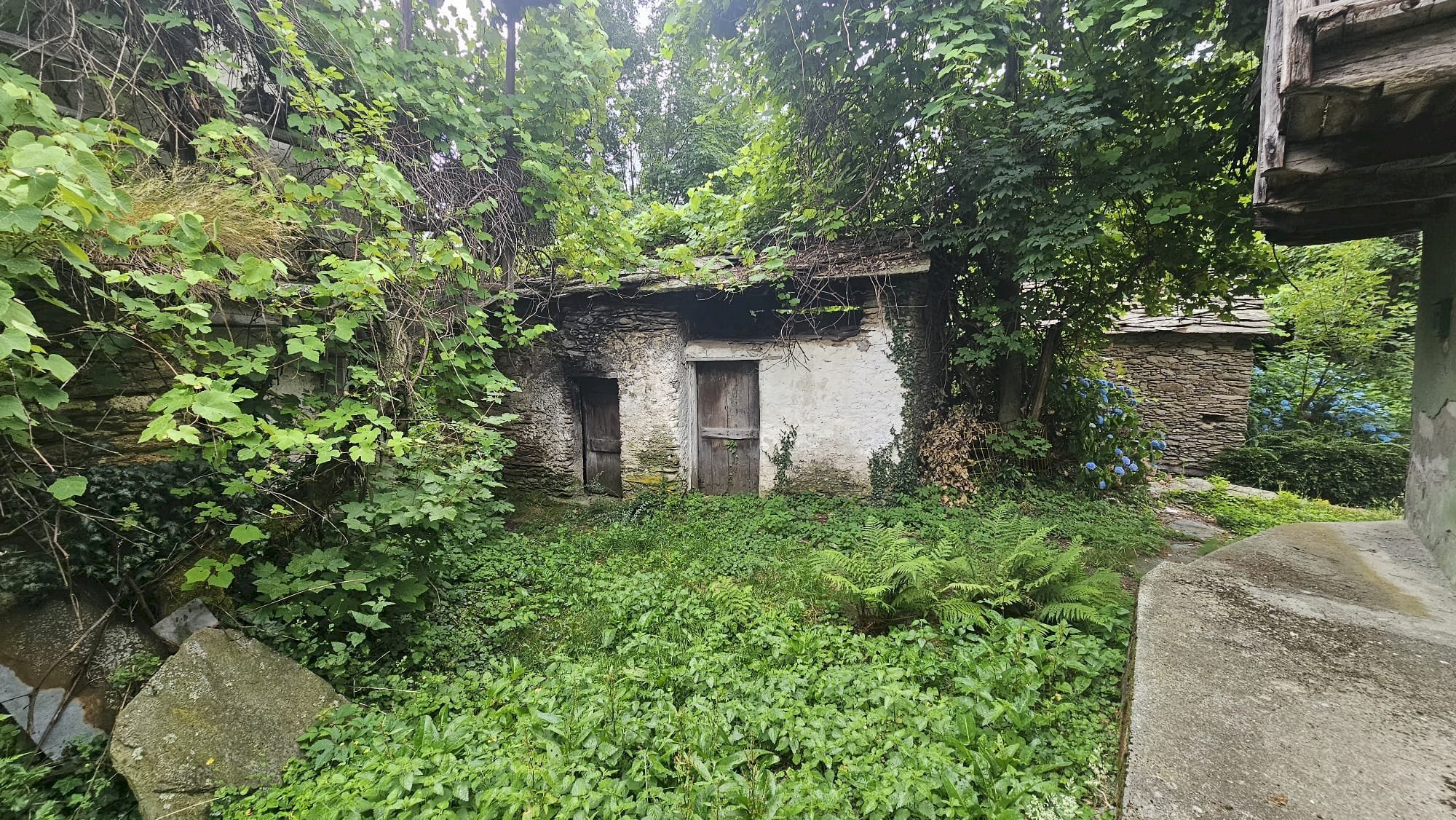 Baita Borgata Agliasco Picca, Snc, Paesana - foto 2