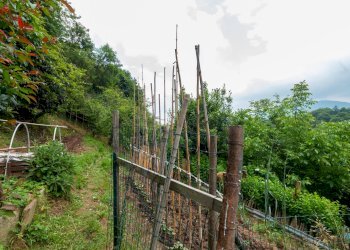 Casa indipendente Via Vottero, 58, Barge - foto 40