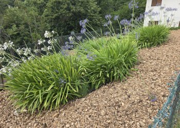 Porzione di casa Borgata Battai dei Per, 13, Paesana - foto 38