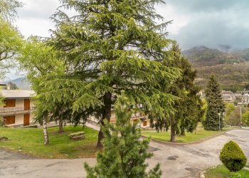 Three-room apartment Borgo Sant'Antonio, 1, Sampeyre - photo 25
