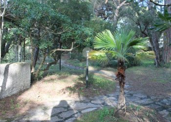 Two-room apartment Via Borsi 7, Castagneto Carducci - photo 15