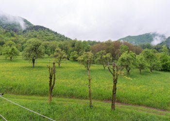 Bilocale Via Mistral, Monterosso Grana - foto 20