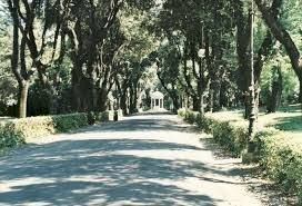 Dintorni - Apartment viale del Museo Borghese, Roma - photo 1