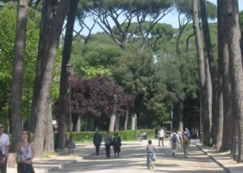 Dintorni - Appartamento viale del Museo Borghese, Roma - foto 11