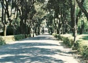 Dintorni - Appartamento viale del Museo Borghese, Roma - foto 1