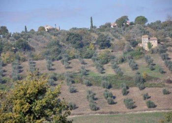 Rustico Villa Brunna, Tarano - foto 7