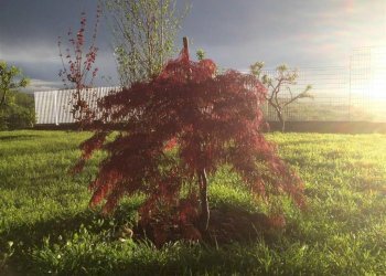 Rustico Poirino - foto 20