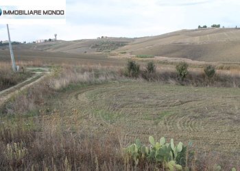 Rustico Ururi, Ururi - foto 14