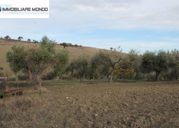 Rustico Ururi, Ururi - foto 16