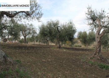 Rustico Ururi, Ururi - foto 17