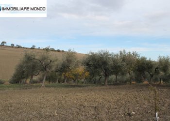 Rustico Ururi, Ururi - foto 18