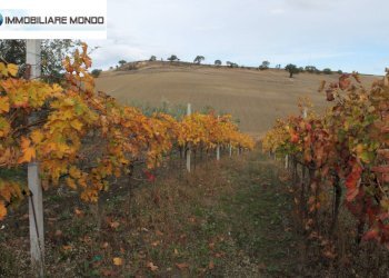 Rustico Ururi, Ururi - foto 19