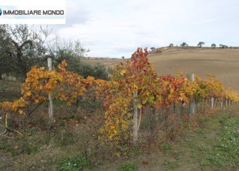 Rustico Ururi, Ururi - foto 20