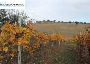 Rustico Ururi, Ururi - foto 21