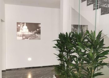 Appartamento Modena - foto 3