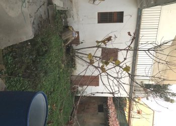 Appartamento Massa Lombarda - foto 3