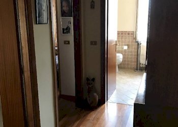 Appartamento Reggio nell'Emilia - foto 7