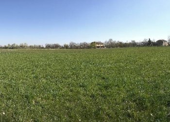 Terreno agricolo Reggio nell'Emilia - foto 1