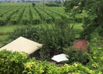 Appartamento Reggio nell'Emilia - foto 19