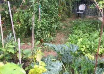 Appartamento Reggio nell'Emilia - foto 21