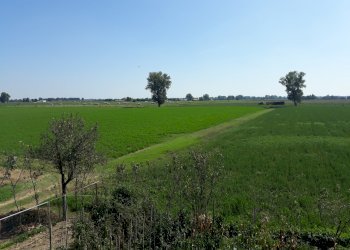 Appartamento Parma - foto 8