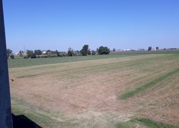 Appartamento Parma - foto 10