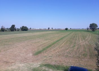 Appartamento Parma - foto 11