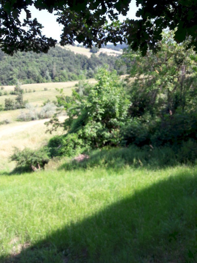 Casa indipendente Canossa - foto 1