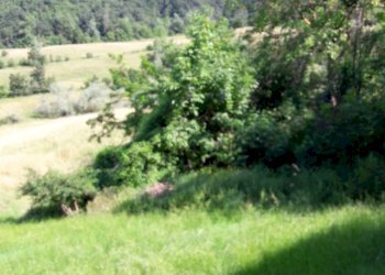 Independent house Canossa - photo 1