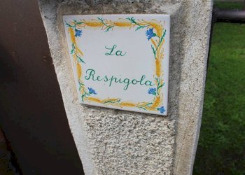 Villa Via Del Baratto, Castagneto Carducci - foto 15