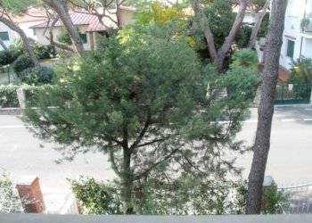 Bilocale Via della Colonia 12, Castagneto Carducci - foto 14