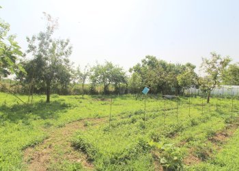 Independent house Via Sant'Anna, 80, Bagnolo Piemonte - photo 4