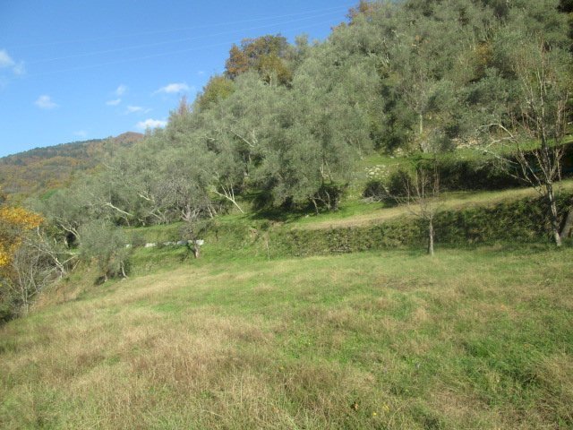 Independent house Borzonasca - photo 3
