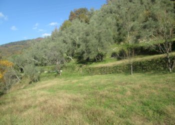 Independent house Borzonasca - photo 3