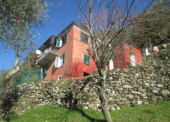 Independent house Borzonasca - photo 8