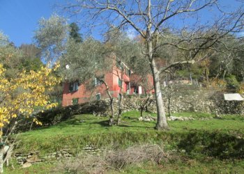 Independent house Borzonasca - photo 9