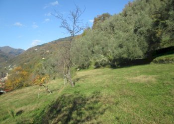 Independent house Borzonasca - photo 10