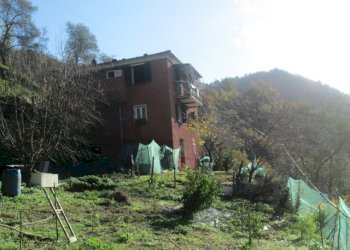 Independent house Borzonasca - photo 12