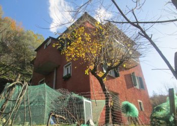 Independent house Borzonasca - photo 13