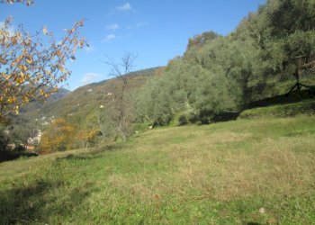 Independent house Borzonasca - photo 39