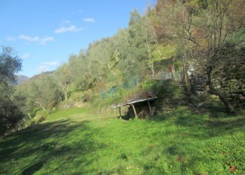 Independent house Borzonasca - photo 41