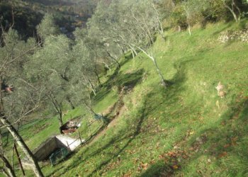 Independent house Borzonasca - photo 43