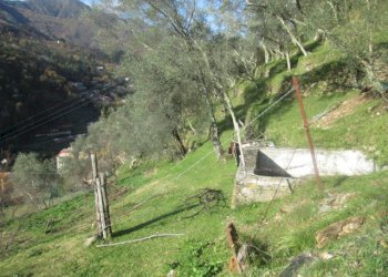 Independent house Borzonasca - photo 44